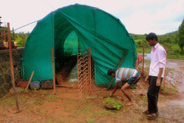 The student-built greenhouse at Mangaon School