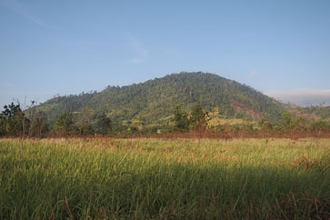 The Imperata Cylindrica grasslands are highly flammable and hard to manage.