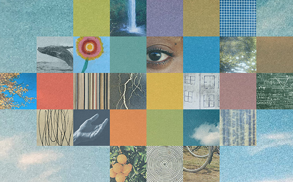 collage of images including nature, human eye, textures, sky, whale