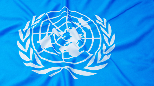Close-up of United Nations flag, a map of the globe surrounded by a crown of leaves on a royal blue background