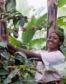 Faith in Fair Trade - Thumbnail