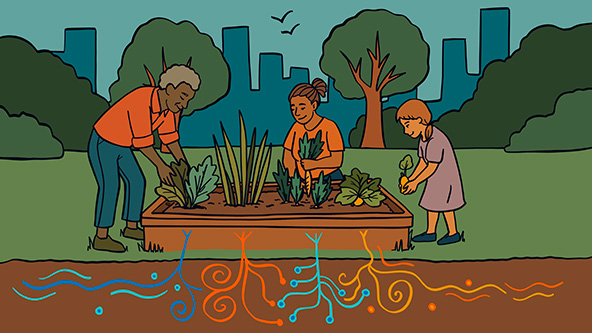people tending a community garden with roots representing community data