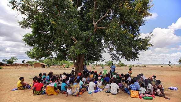 group of people sitting outside under a tree