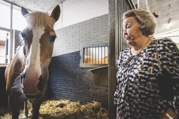 woman petting a horse