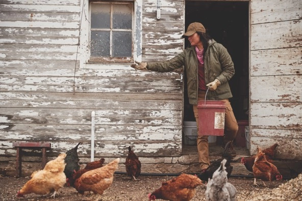 woman feeding chickens on a farm