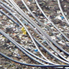 SSIR_Solutions_to_Mitigating_Climate_Change