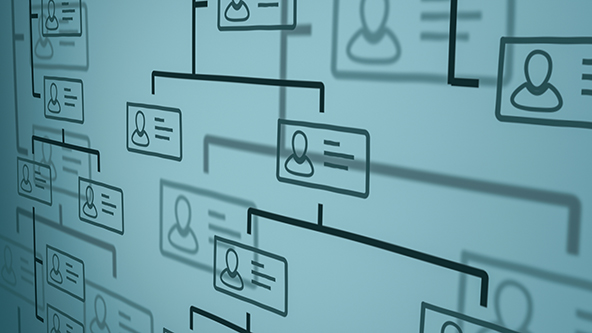 close-up view of an org chart