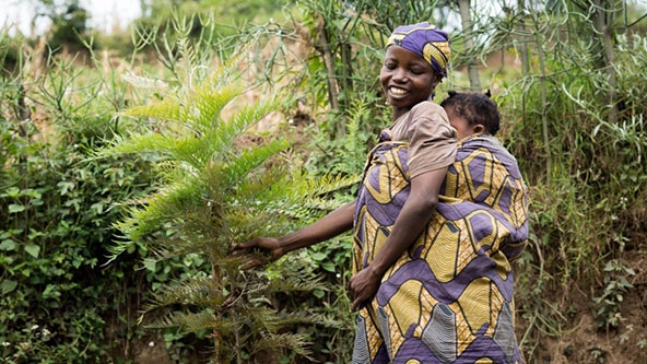Woman farmer carrying a child on her back next to her trees