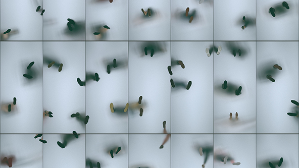 Silhouettes of people on a frosted glass floor, view from below.