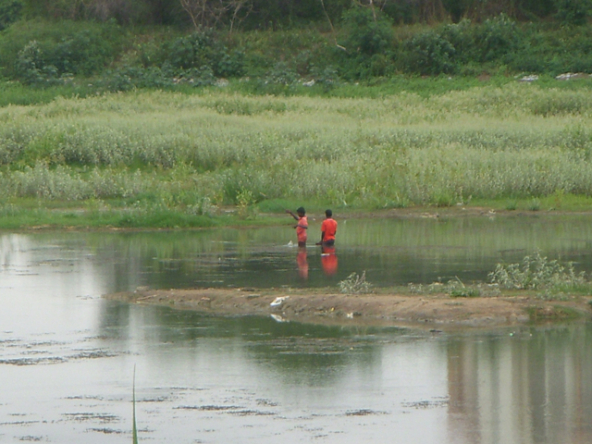 Environment_Bangalore