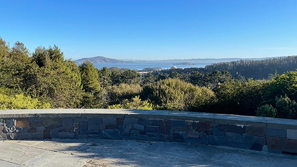 scenic view of trees and mountains from a lookout point