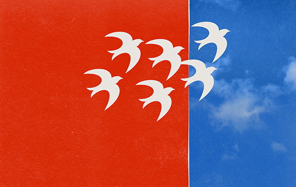 birds flying across blocks of red and blue