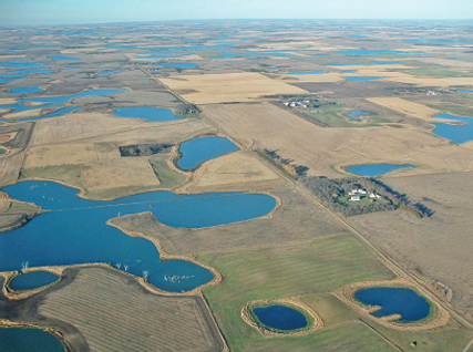 Midwest_environment_habitat