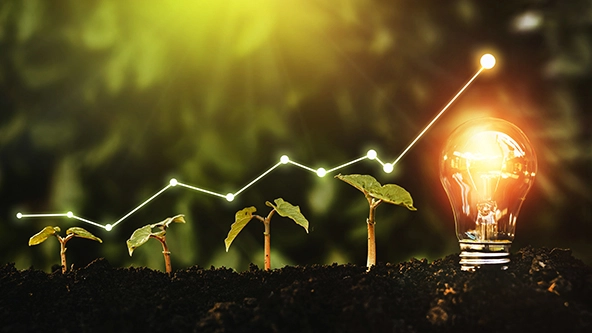 A row of growing seedlings with a lightbulb at the end. A  line graph climbing and growing above them symbolizes accelerating progress.