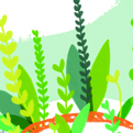 plants_in_book_social_innovation