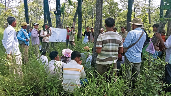 Trainers teaching a group of people