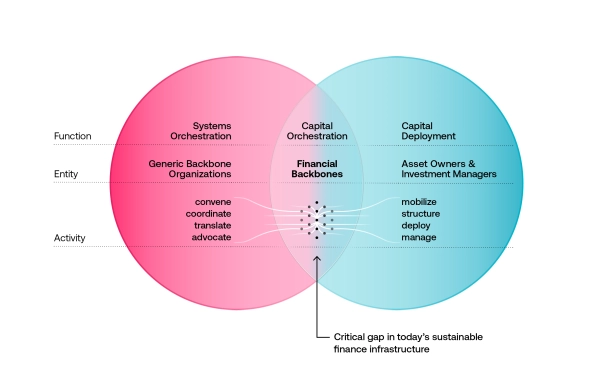 venn diagram showing financial backbones described in article