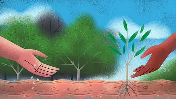 A hand on the left throwing seeds into the ground. A hand on the right gesturing toward a growing seedling.