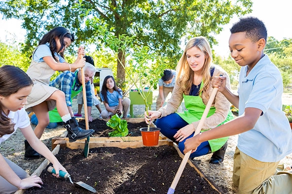 Diverse group of private elementary school students are digging in soil in vegetable garden, and planting plants.