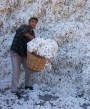 Weaving Businesses Together - Thumbnail