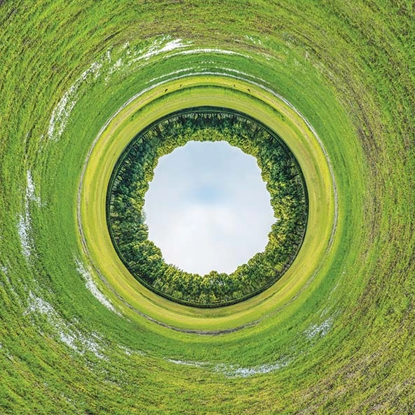 fisheye view of a park showing sky, trees, green grass