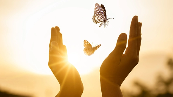girl frees butterflies into the sky