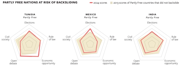 chart showing democratic backsliding explained in article 